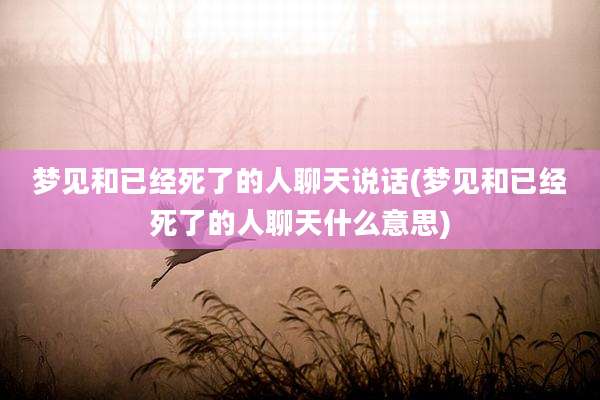 梦见和已经死了的人聊天说话(梦见和已经死了的人聊天什么意思)