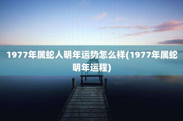 1977年属蛇人明年运势怎么样(1977年属蛇明年运程)