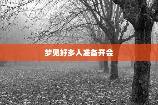 梦见好多人准备开会