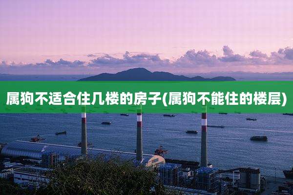 属狗不适合住几楼的房子(属狗不能住的楼层)