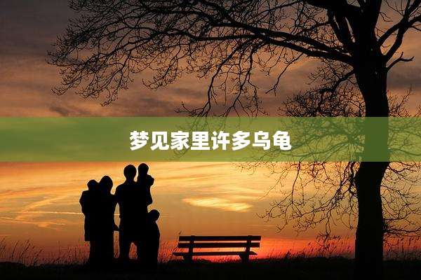 梦见家里许多乌龟