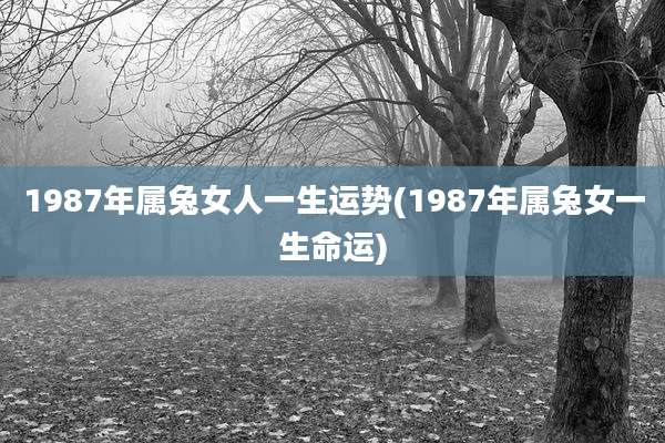 1987年属兔女人一生运势(1987年属兔女一生命运)