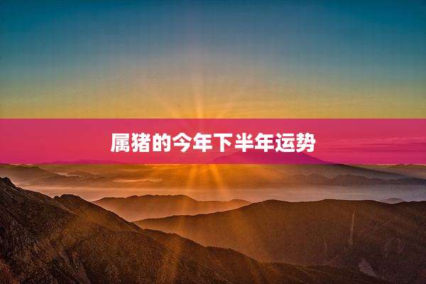 属猪的今年下半年运势
