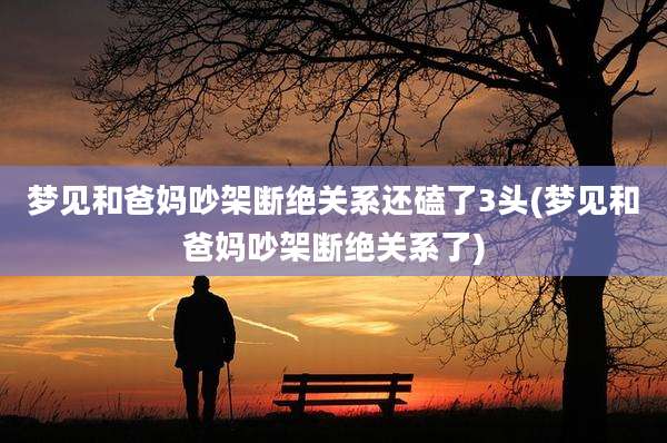 梦见和爸妈吵架断绝关系还磕了3头(梦见和爸妈吵架断绝关系了)