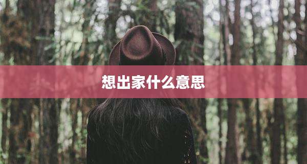 想出家什么意思