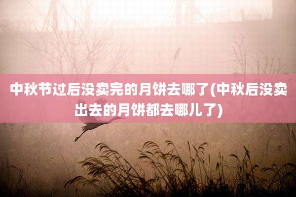 中秋节过后没卖完的月饼去哪了(中秋后没卖出去的月饼都去哪儿了)