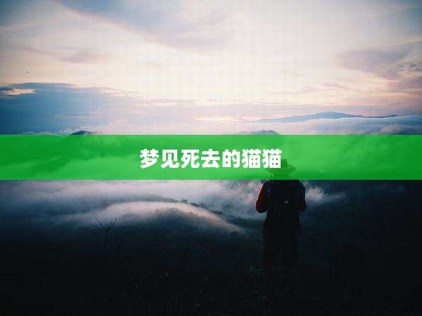 梦见死去的猫猫