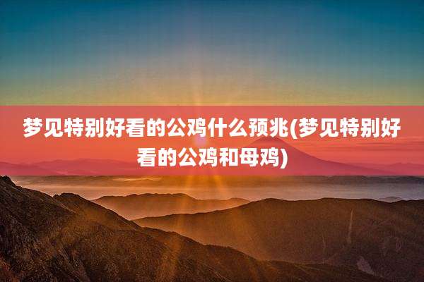 梦见特别好看的公鸡什么预兆(梦见特别好看的公鸡和母鸡)
