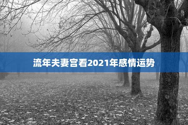 流年夫妻宫看2021年感情运势