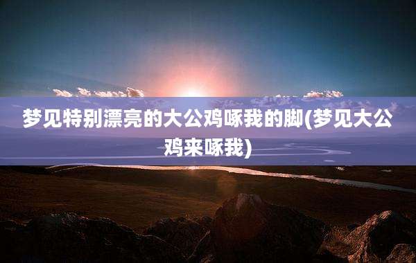 梦见特别漂亮的大公鸡啄我的脚(梦见大公鸡来啄我)