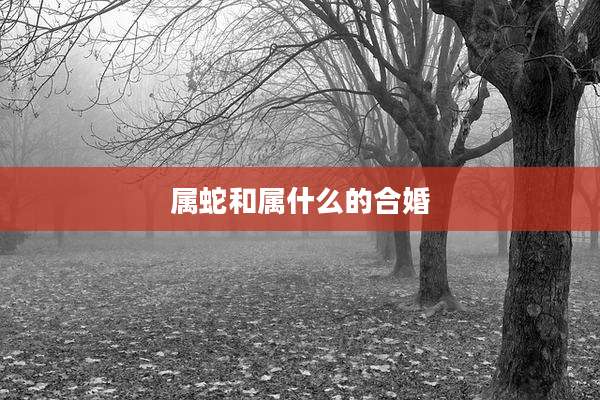 属蛇和属什么的合婚