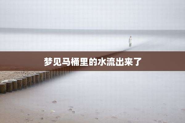梦见马桶里的水流出来了
