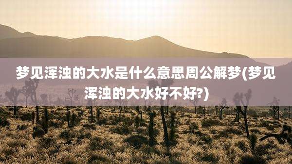 梦见浑浊的大水是什么意思周公解梦(梦见浑浊的大水好不好?)