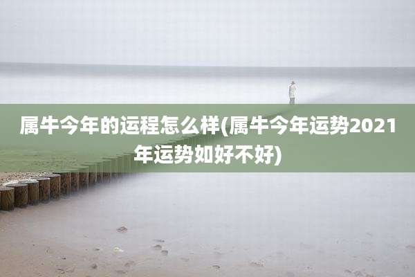 属牛今年的运程怎么样(属牛今年运势2021年运势如好不好)