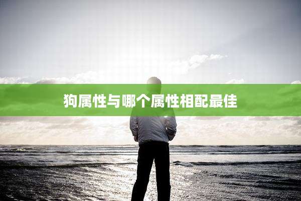 狗属性与哪个属性相配最佳
