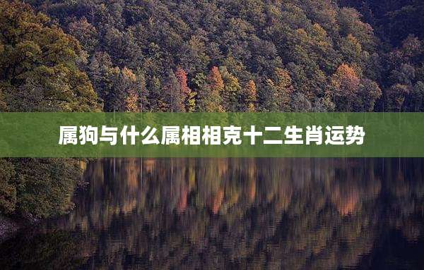 属狗与什么属相相克十二生肖运势