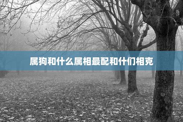 属狗和什么属相最配和什们相克