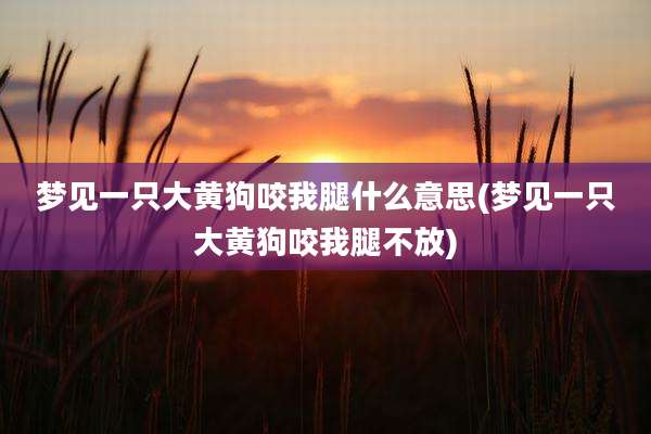 梦见一只大黄狗咬我腿什么意思(梦见一只大黄狗咬我腿不放)