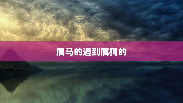 属马的遇到属狗的