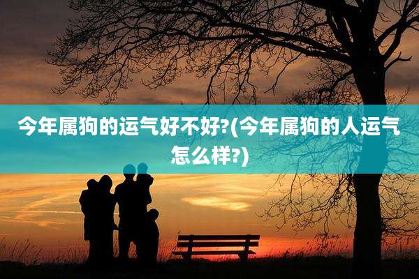 今年属狗的运气好不好?(今年属狗的人运气怎么样?)