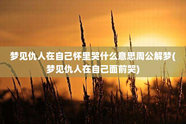 梦见仇人在自己怀里哭什么意思周公解梦(梦见仇人在自己面前哭)