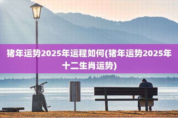 猪年运势2025年运程如何(猪年运势2025年十二生肖运势)