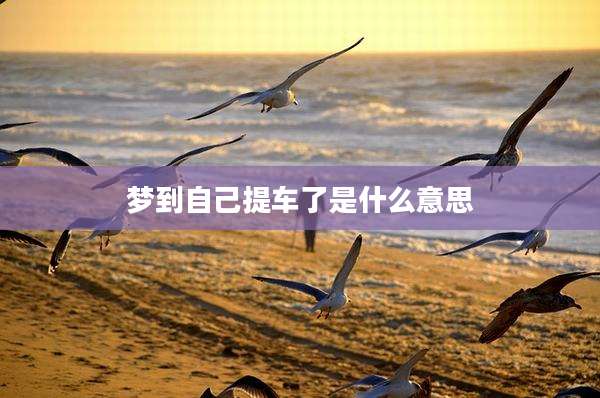 梦到自己提车了是什么意思