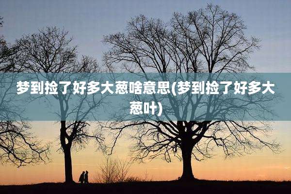 梦到捡了好多大葱啥意思(梦到捡了好多大葱叶)