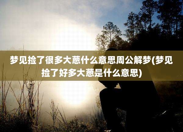 梦见捡了很多大葱什么意思周公解梦(梦见捡了好多大葱是什么意思)