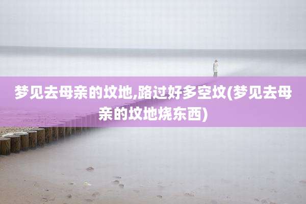 梦见去母亲的坟地,路过好多空坟(梦见去母亲的坟地烧东西)