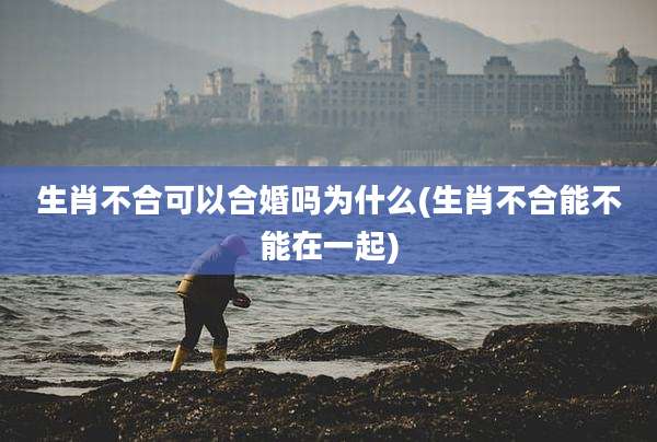 生肖不合可以合婚吗为什么(生肖不合能不能在一起)