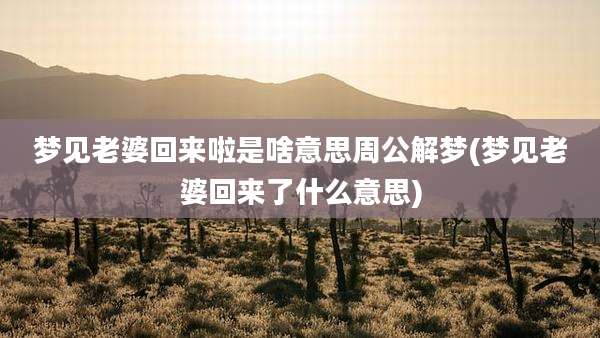 梦见老婆回来啦是啥意思周公解梦(梦见老婆回来了什么意思)