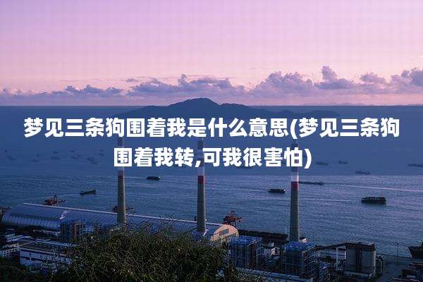 梦见三条狗围着我是什么意思(梦见三条狗围着我转,可我很害怕)