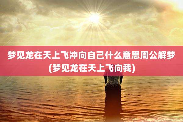 梦见龙在天上飞冲向自己什么意思周公解梦(梦见龙在天上飞向我)