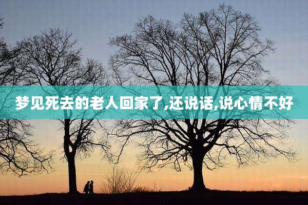梦见死去的老人回家了,还说话,说心情不好