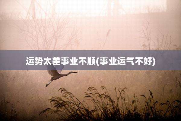 运势太差事业不顺(事业运气不好)
