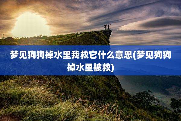 梦见狗狗掉水里我救它什么意思(梦见狗狗掉水里被救)