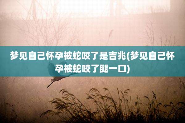 梦见自己怀孕被蛇咬了是吉兆(梦见自己怀孕被蛇咬了腿一口)