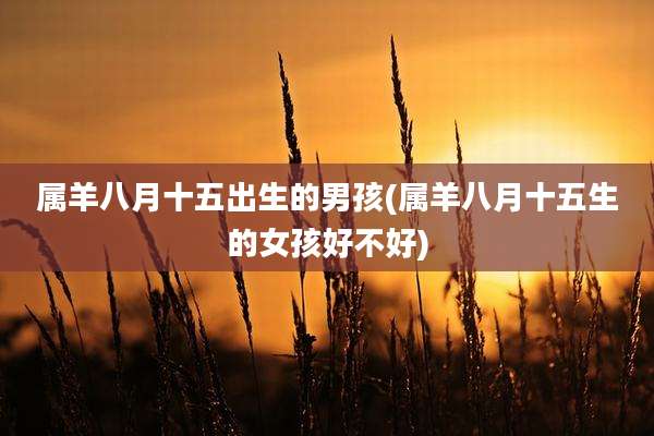 属羊八月十五出生的男孩(属羊八月十五生的女孩好不好)