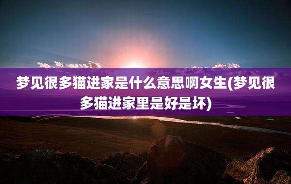 梦见很多猫进家是什么意思啊女生(梦见很多猫进家里是好是坏)