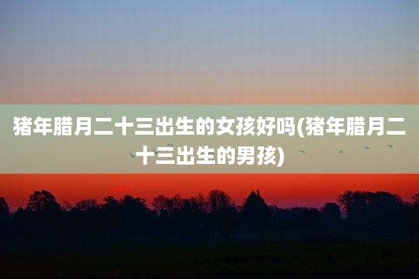 猪年腊月二十三出生的女孩好吗(猪年腊月二十三出生的男孩)