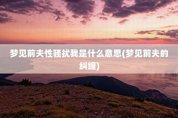 梦见前夫性骚扰我是什么意思(梦见前夫的纠缠)