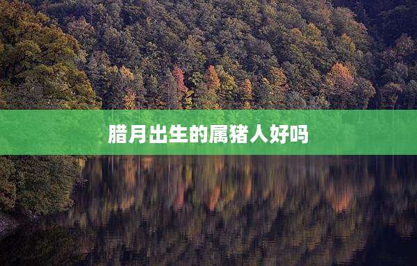 腊月出生的属猪人好吗