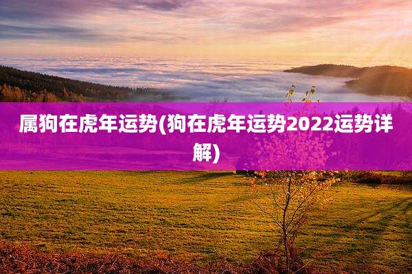 属狗在虎年运势(狗在虎年运势2022运势详解)