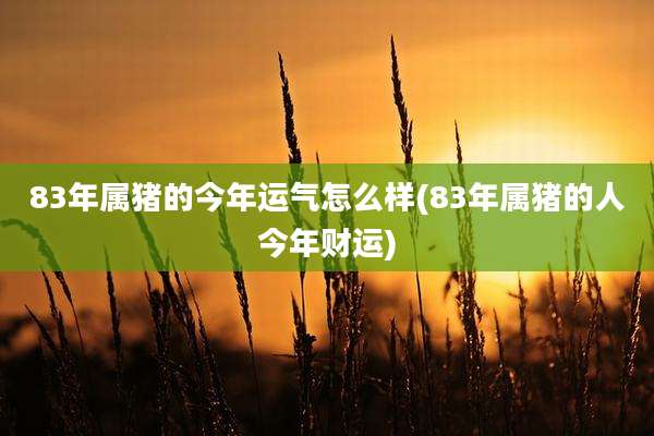 83年属猪的今年运气怎么样(83年属猪的人今年财运)