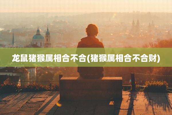 龙鼠猪猴属相合不合(猪猴属相合不合财)