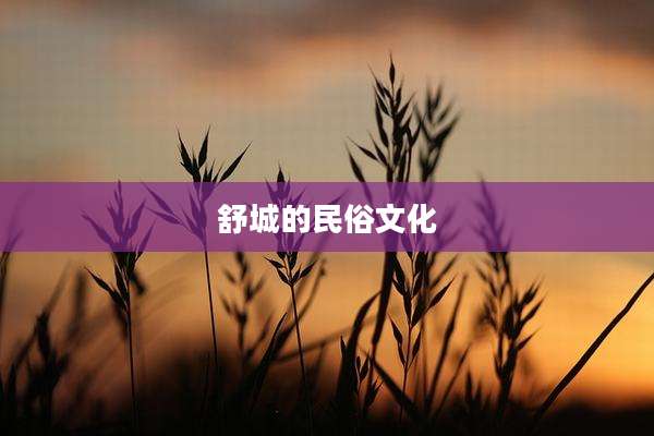 舒城的民俗文化