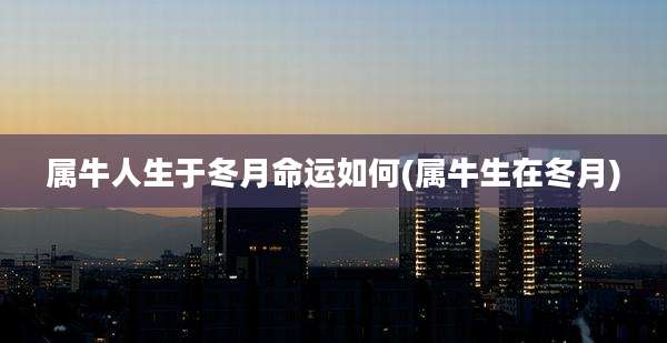 属牛人生于冬月命运如何(属牛生在冬月)
