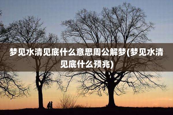 梦见水清见底什么意思周公解梦(梦见水清见底什么预兆)