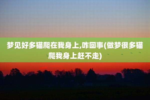 梦见好多猫爬在我身上,咋回事(做梦很多猫爬我身上赶不走)